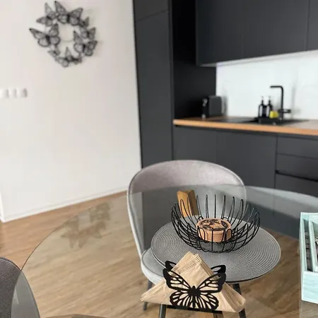 Tatry In The Center Of With View Poprad