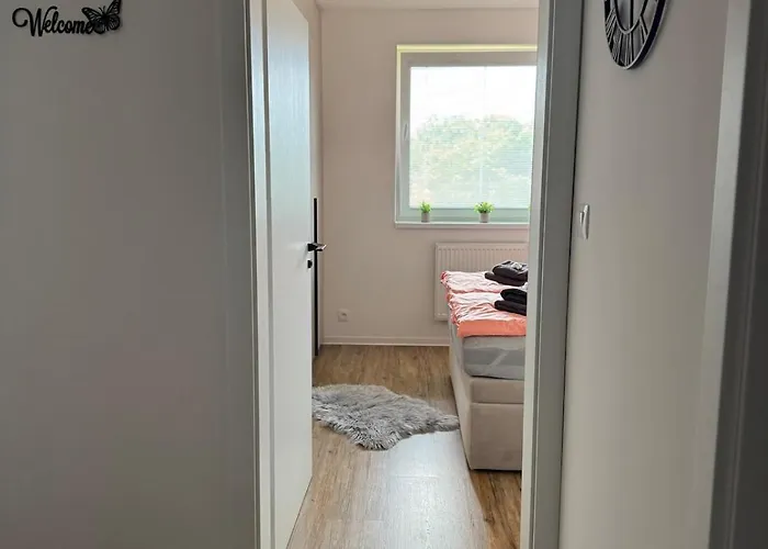 Apartament Tatry In The Center Of With View *